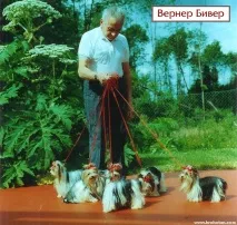 стандарт