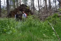 Буреломи та болота Ковальського (Легкохідний похід), SternTrek ковальського