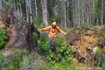 Буреломи та болота Ковальського (Легкохідний похід), SternTrek ковальського