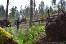 Буреломи та болота Ковальського (Легкохідний похід), SternTrek болота