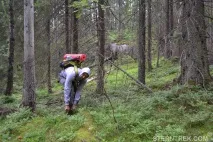 Буреломи та болота Ковальського (Легкохідний похід), SternTrek ковальського