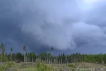 Буреломи та болота Ковальського (Легкохідний похід), SternTrek ковальського