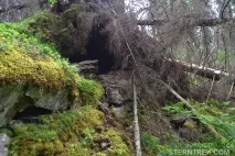 Буреломи та болота Ковальського (Легкохідний похід), SternTrek ковальського