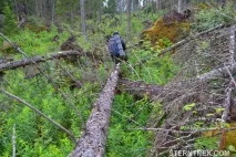Буреломи та болота Ковальського (Легкохідний похід), SternTrek буреломи