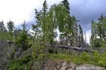 Буреломи та болота Ковальського (Легкохідний похід), SternTrek буреломи