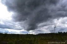 Буреломи та болота Ковальського (Легкохідний похід), SternTrek ковальського