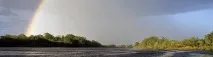 Буреломи та болота Ковальського (Легкохідний похід), SternTrek буреломи