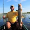 Черв’як - пошук слів за маскою та визначенням, відповіді на сканворди слів