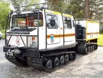 Лось