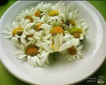 Чистий лід з ромашки для очей ромашки