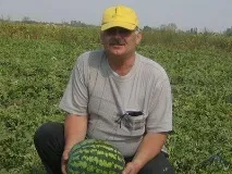соковиті