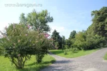 парку