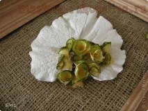гілки