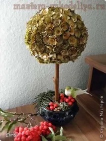 гілки