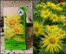Оман при безплідді дія, протипоказання його