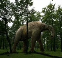 Доісторичні тварини фото найдивніших - Сайт Природа доісторичні