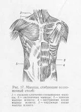 Рухи хребетного стовпа, Рефлексотерапія рухи