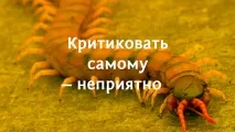 Два принципи здорової критики критикувати