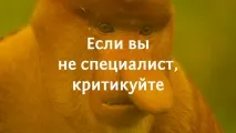 Два принципи здорової критики критикувати