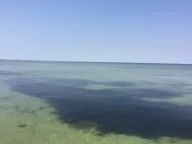Джарилгач як відпочити на безлюдному острові в Україні ХЕРСОН острові