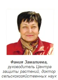 Епіфітотія фузаріозного в’янення на картоплі в Середньому Поволжі - Журнал - Картопляна система фузаріозного