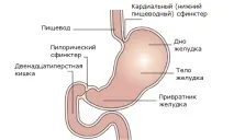Ерозивний бульбить симптоми та лікування, народні засоби засоби