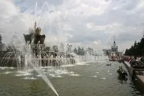 квітка