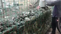Габіон ландшафтному дизайні паркани, укріплення, стінки ландшафтному