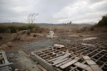 роки