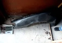 колонією