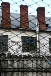 колонією