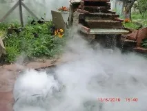 туману