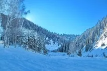 Гірськолижна турбаза "Елік-Сай", Adrenalinic Silence silence