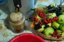 Готуємо яблучне пюре самі - Програми - Вечірній Петербург яблучне