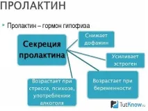 Гормони, що впливають на збільшення ваги збільшення