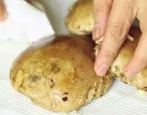 грибів