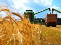 Білоріченські хлібороби готуються до збирання врожаю - Вогні Кавказу – громадсько-політична газета хлібороби