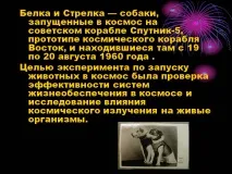 Білка та Стрілка «Білки