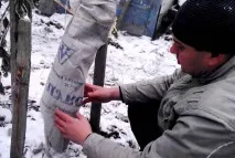 Груша Білоукраїнська пізня характеристика сорту, правила посадки та догляду груша