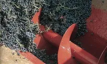 Як роблять шампанське у Криму криму