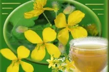 Як використовувати масло чистотілу від грибка нігтів на ногах, Красиві нігті - доповнення твого грибка