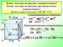 Які вектори на малюнку співспрямовані - Картинка 26282-20 малюнку