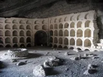 шампанське