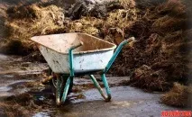 Як підвищити родючість ґрунту без гною та посліду Нове ефективне рішення! гною