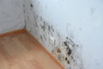 Якприбрати вогкість на стінах причини та усунення проблеми причини