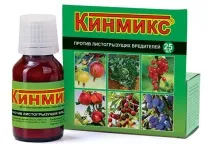 Як уберегти врожай винограду від ос, що робити, способи захисту врожай