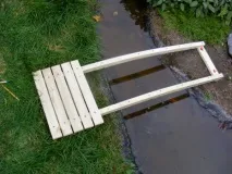яний