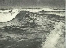 B. Розумневич. Фрегат «Паллада» «Паллада»