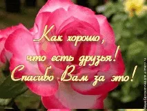 Як я вітаю друзів за допомогою віртуальних агенцій щастя, стосунки між людьми вітаю