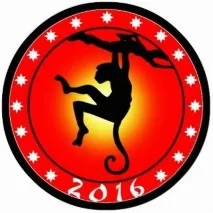 Як приготувати 2016 рік Як прикрасити будинок на новий рік Як приготувати на новий 2016 рік 2016